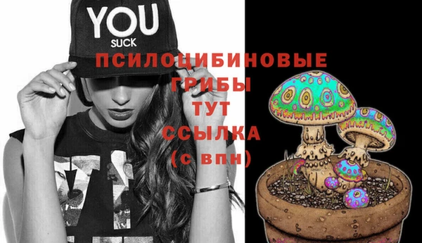 2c-b Михайловск