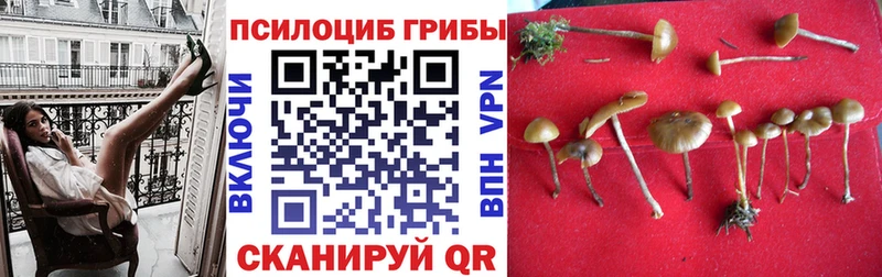 Галлюциногенные грибы мухоморы Торжок