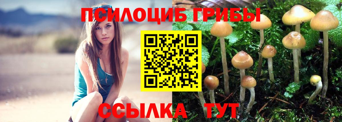 Галлюциногенные грибы Magic Shrooms  Вход с VPN  Торжок 