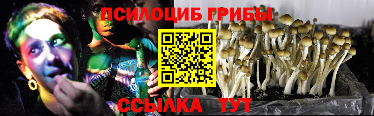 Галлюциногенные грибы прущие грибы Торжок